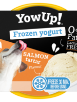 YowUp! YowUp! Frozen Yoghurt Salmon Tartar