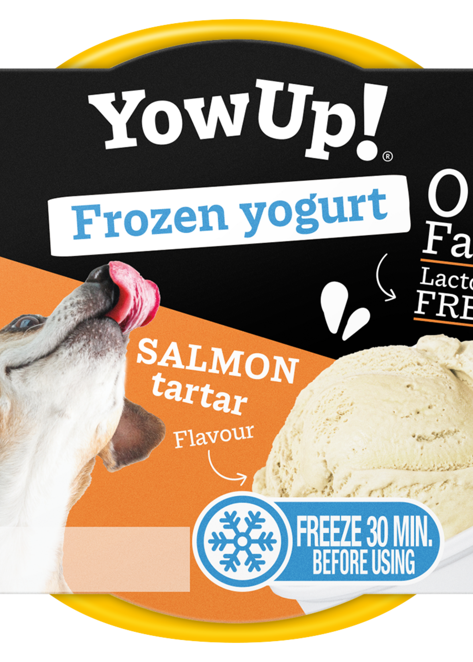 YowUp! YowUp! Frozen Yoghurt Salmon Tartar