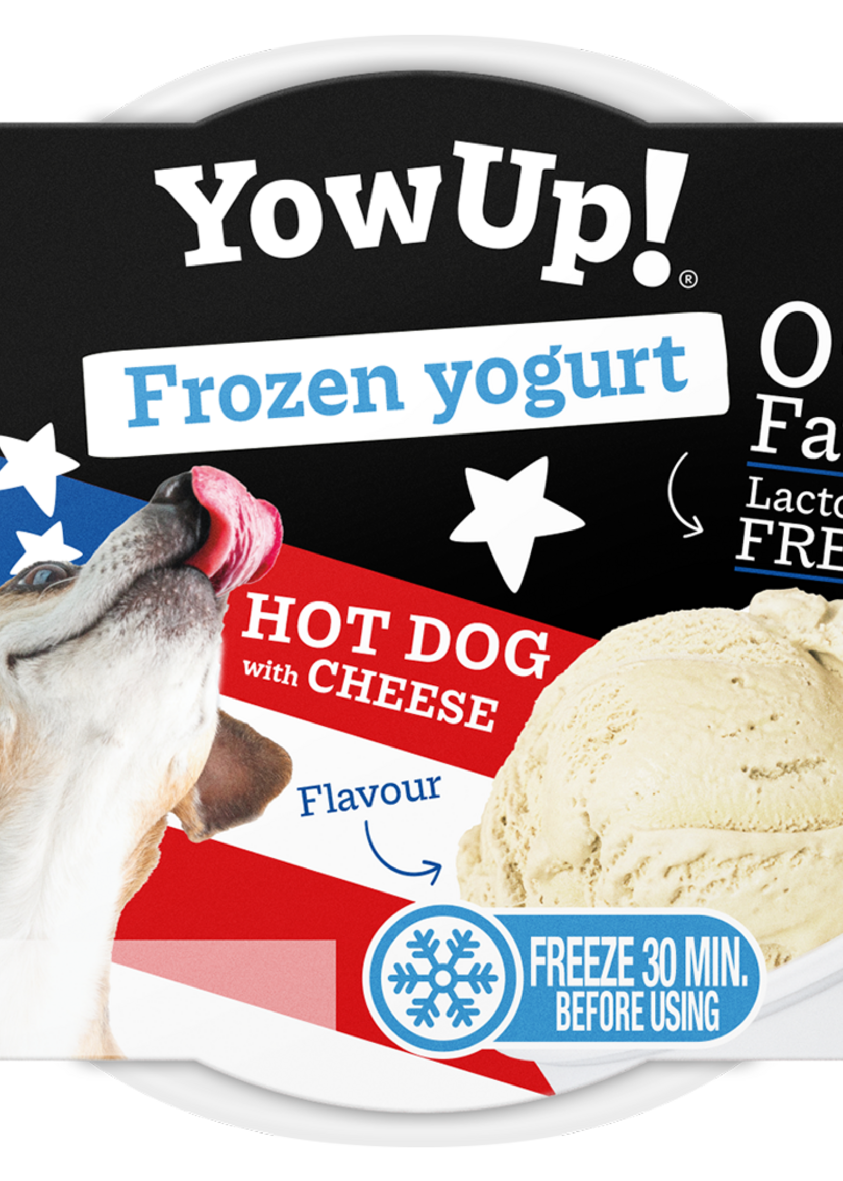 YowUp! YowUp! Frozen Yoghurt Hot dog met Kaas