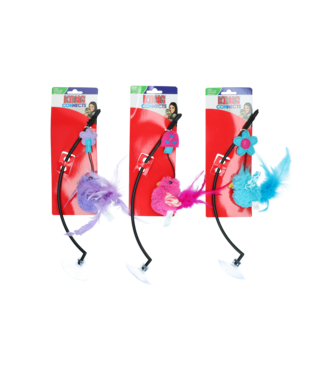 KONG KONG Connects Window Teaser Assorti