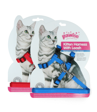 Pawise Pawise Kitten Harness With Leash Red/Blue S