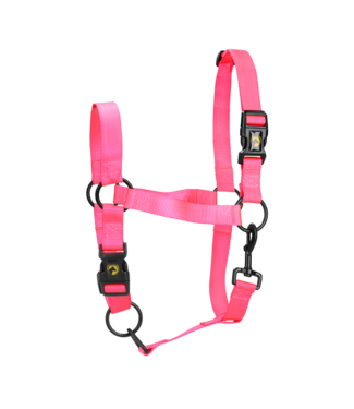 Excellent Excellent Essential Halster Roze S