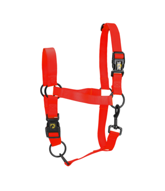 Excellent Excellent Essential Halster Rood M