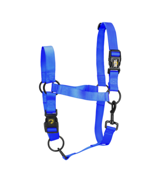 Excellent Excellent Essential Halster Blauw XL