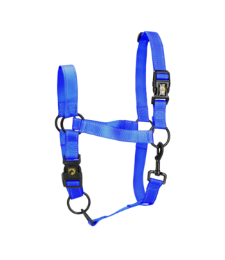 Excellent Excellent Premium Halster Blauw XL