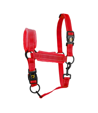 Excellent Excellent Superior Halster Rood S