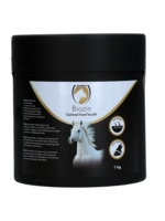Excellent Horse Excellent Horse Biozin 1 kg