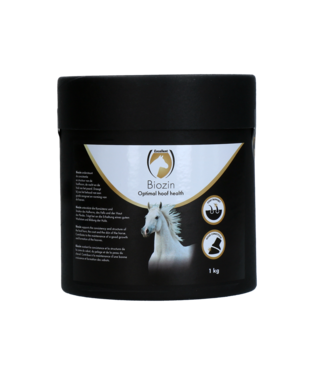 Excellent Horse Excellent Horse Biozin 1 kg