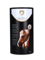 Excellent Horse Excellent Horse Sugar in Balance