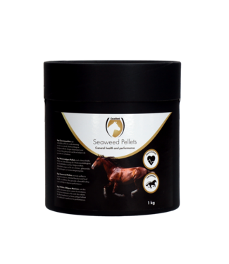 Excellent Horse Excellent Horse Seaweed Pellets 1 kg