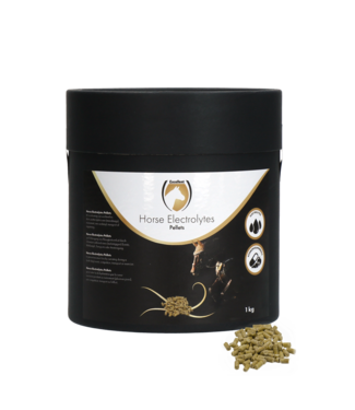 Excellent Horse Excellent Horse Electrolytes Pellets 1 kg