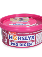 Horslyx Horslyx Mini Spijsvertering