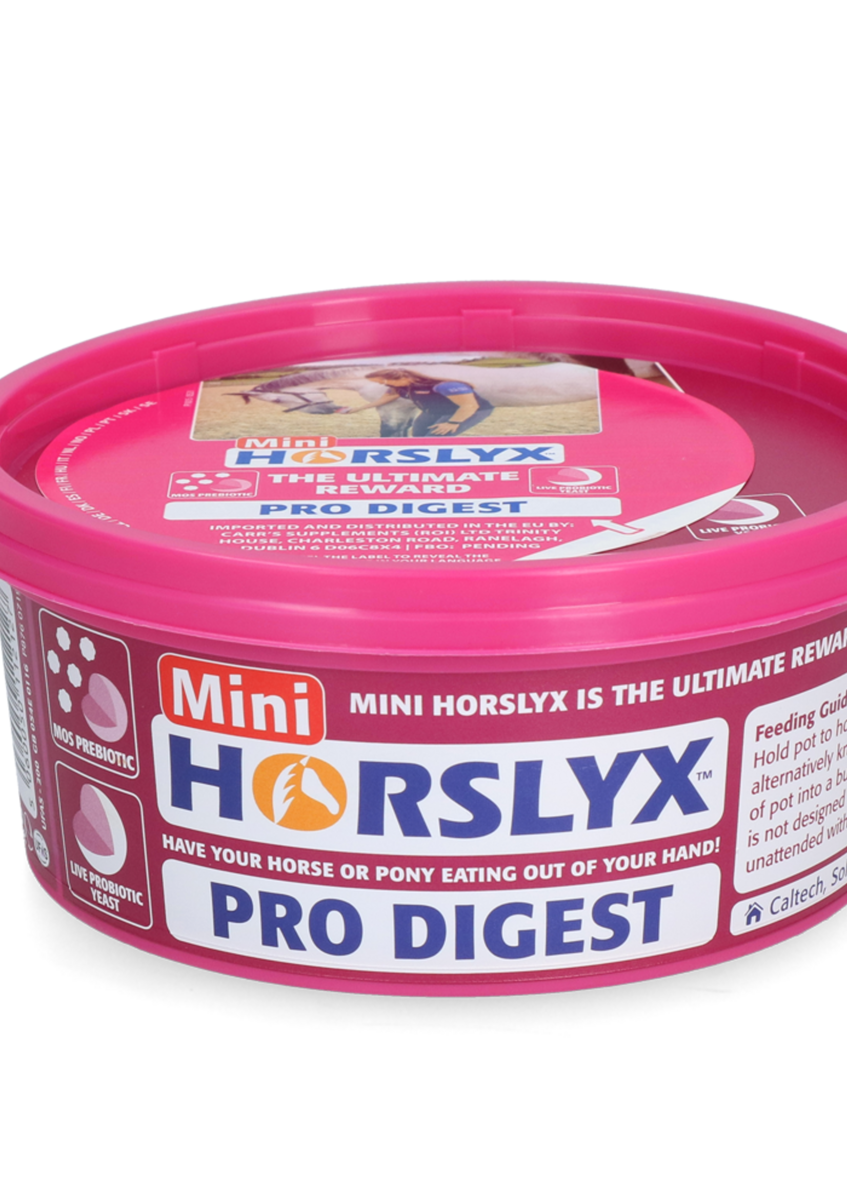 Horslyx Horslyx Mini Spijsvertering