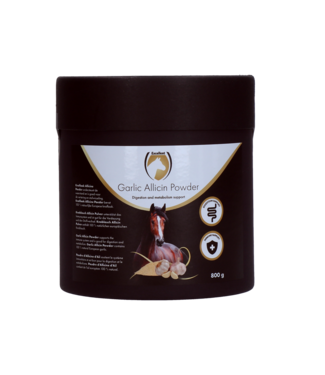 Excellent Horse Excellent Horse Garlic Allicin Powder 800 g