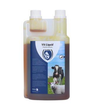 Excellent Excellent Vit Liquid Multivitamine 1 l