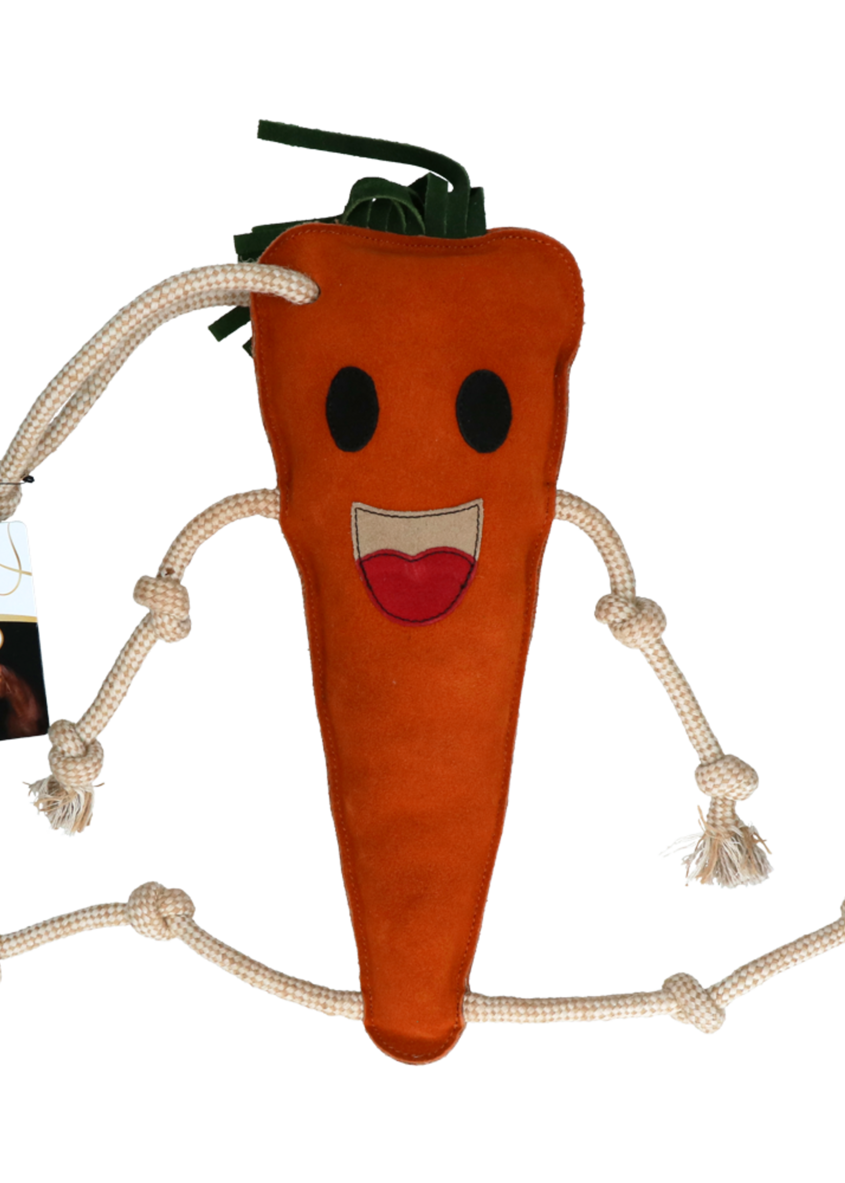 Excellent Horse Excellent Horse Foodie Friends Carrot