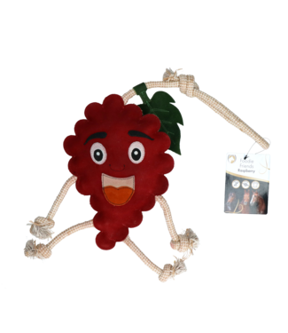 Excellent Horse Excellent Horse Foodie Friends Raspberry