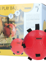 Excellent Horse Excellent Horse Fun Play Ball Rood