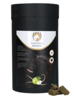 Excellent Horse Excellent Horse Sweet Blocks Grain-Free Apple 3 kg