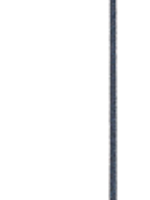 Merkloos Dressuurzweep profi zwart