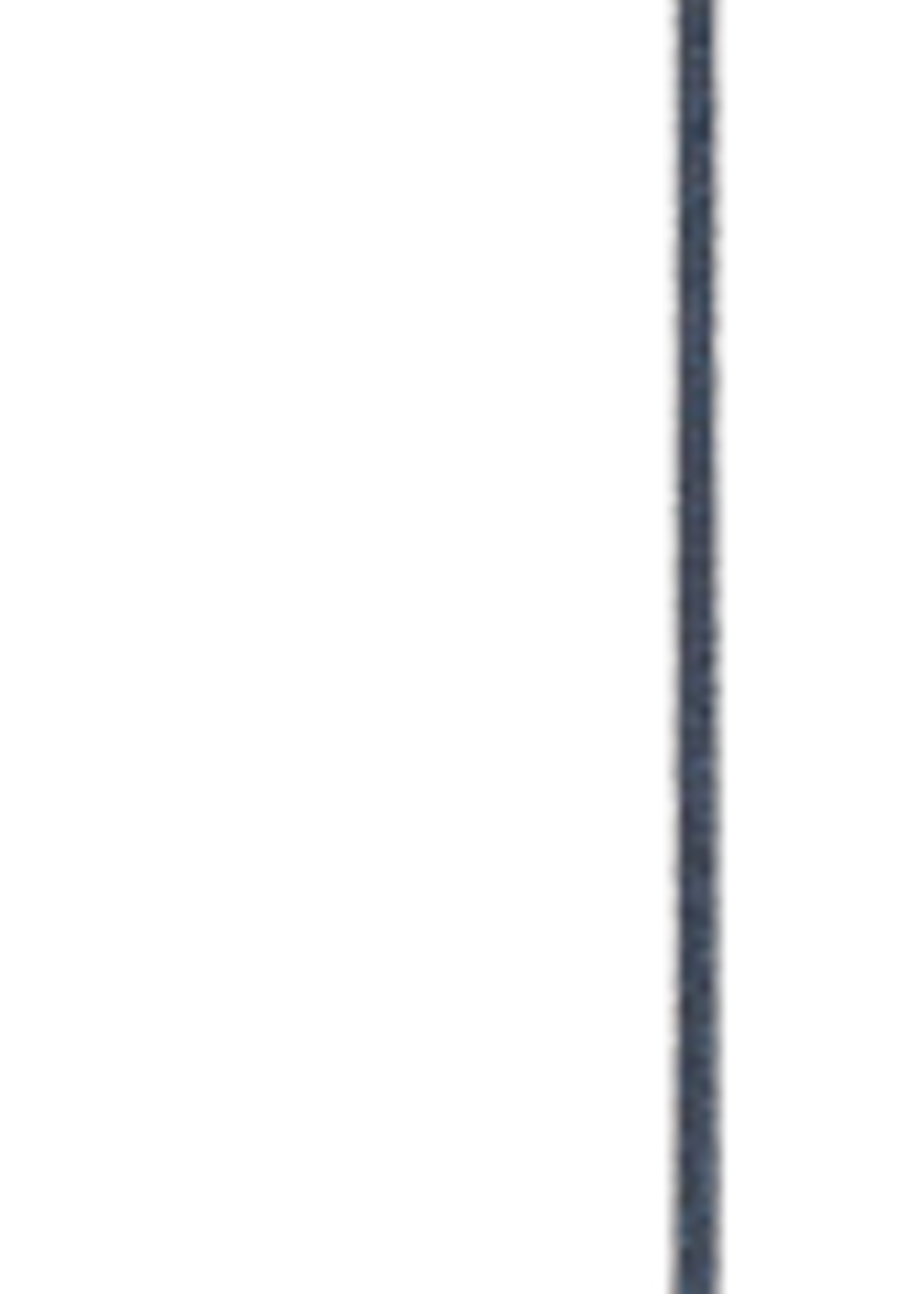 Merkloos Dressuurzweep profi zwart