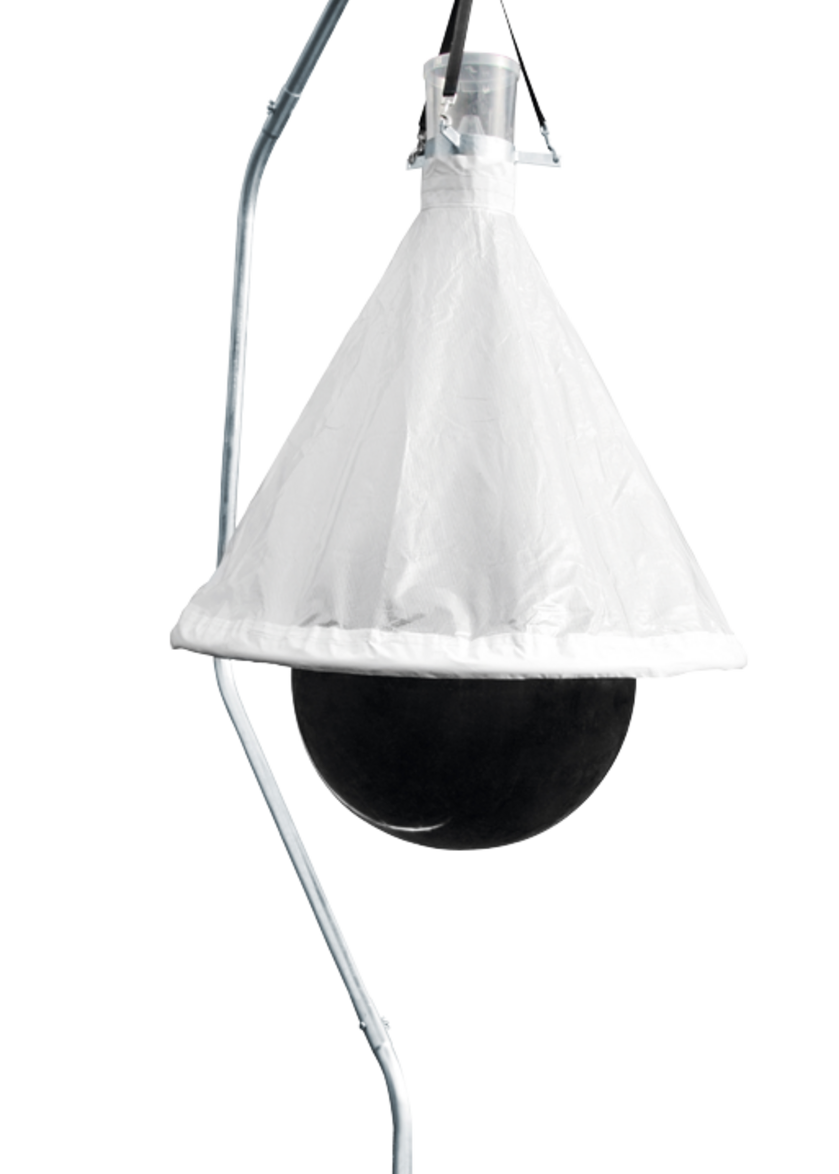 TaonX TaonX Dazenval Compleet