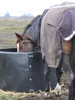 Ok-Plast OK Plast Hooi Ring Feeder ø 124-128 cm