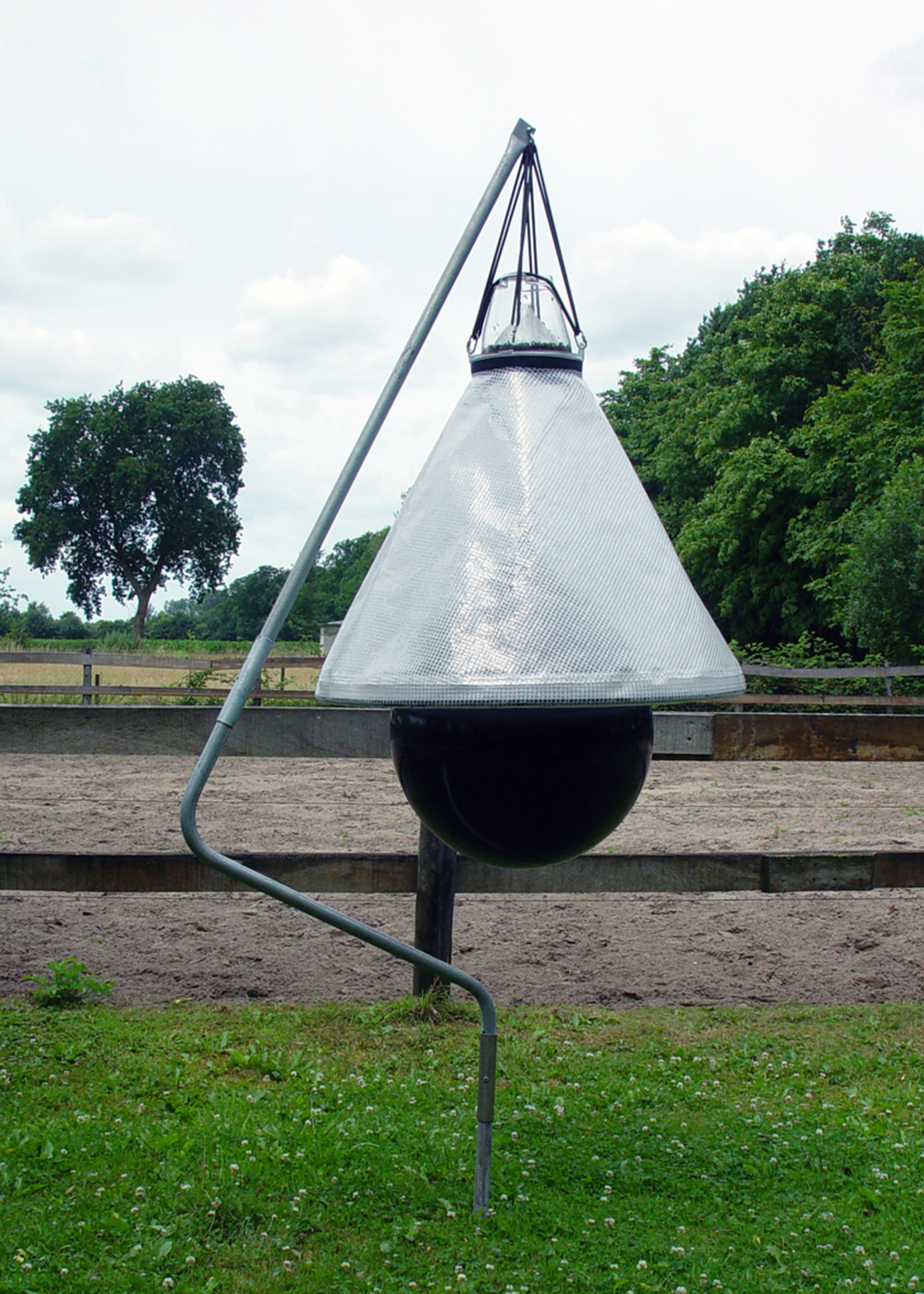 Loer Loer Dazenval Compleet