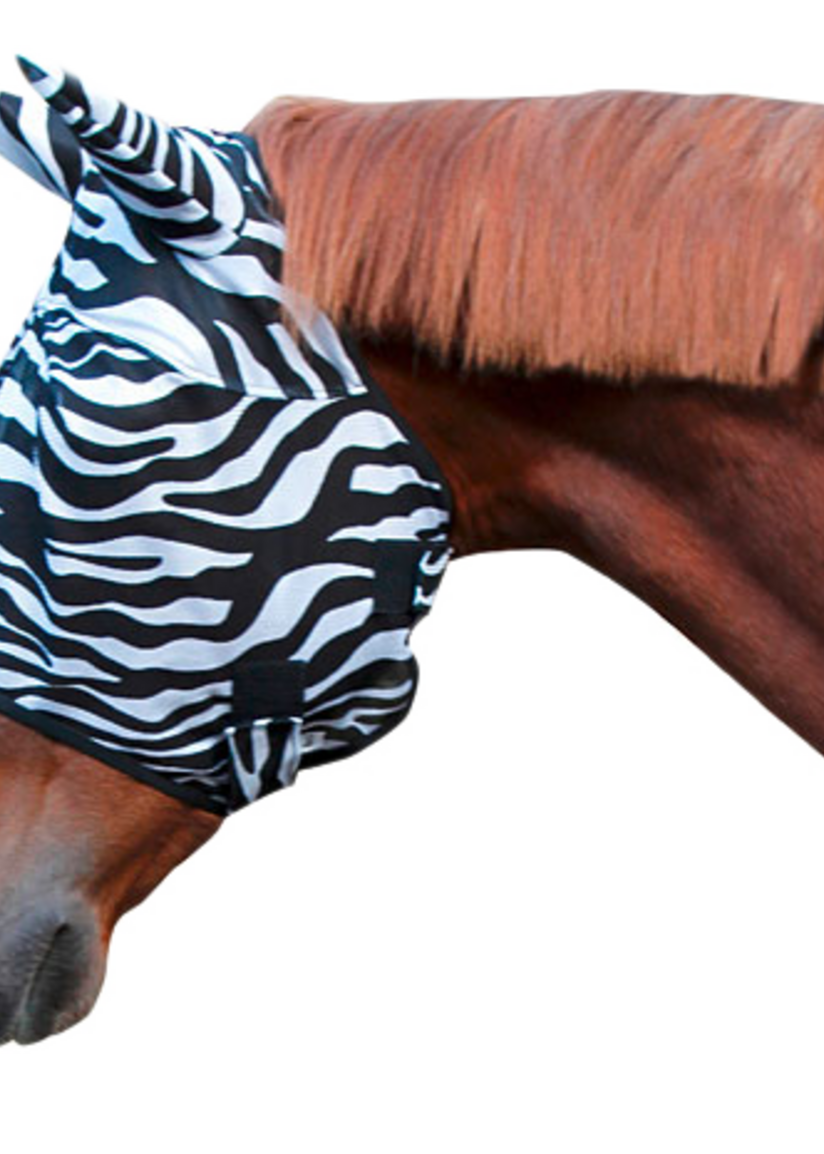 Merkloos Vliegenmasker Zebra Cob