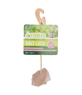 Nibbles Nibbles Liksteen Himalaya voor Knaagdieren