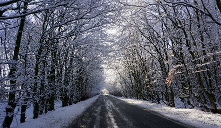 Huchem Winter Collection
