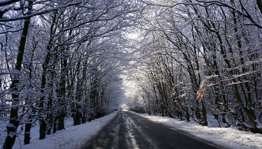 Huchem Winter Collection