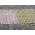 Green Deposit Remover (HC Fix) - Moss & Algae Cleaner - 1000L IBC