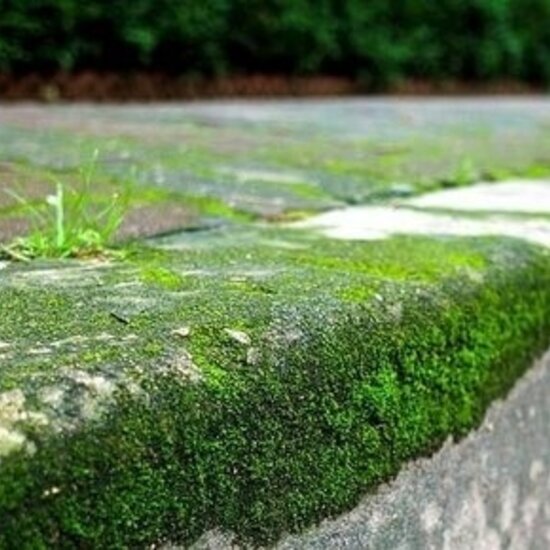 Green Deposit Remover (HC Fix) - Moss & Algae Cleaner - 1000L IBC