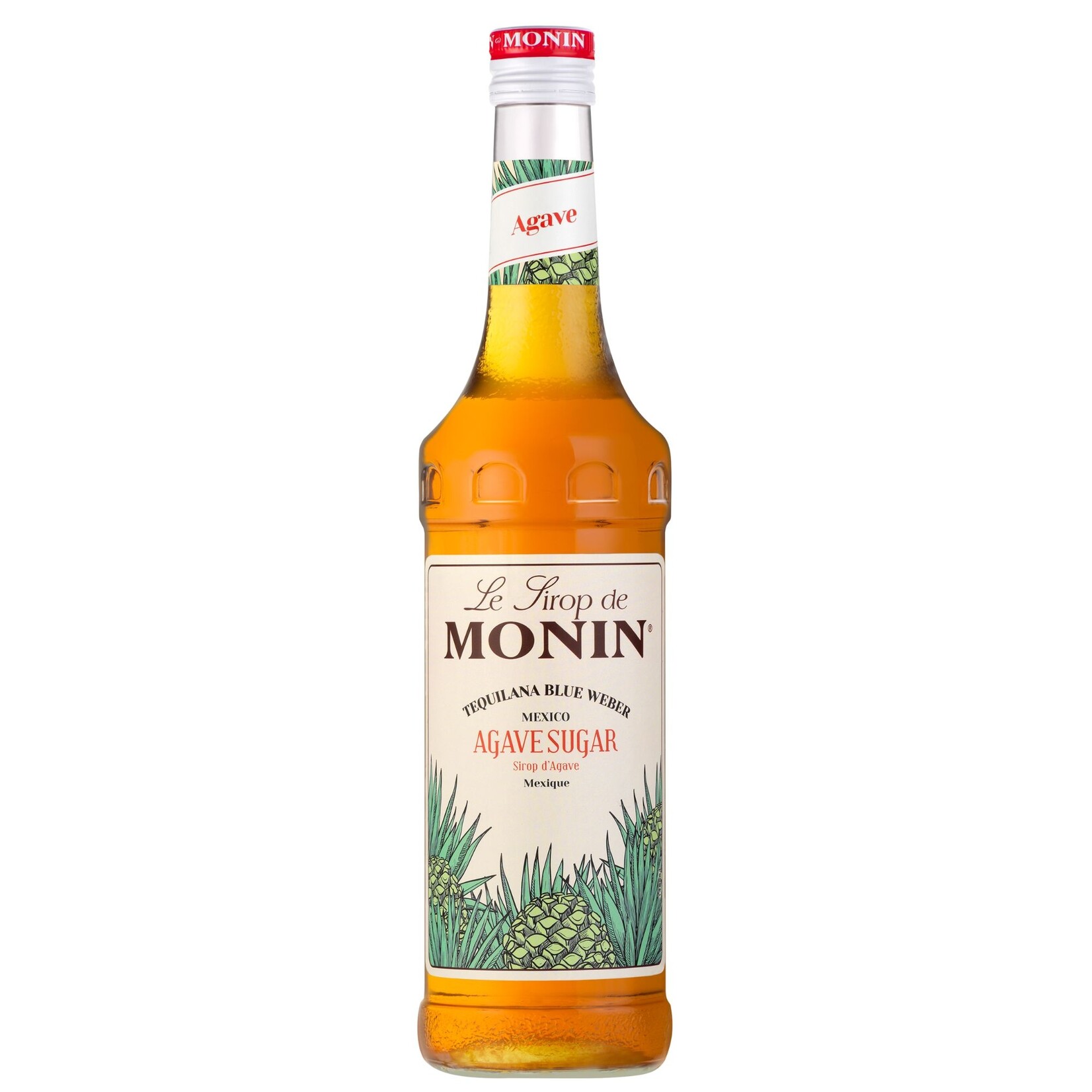 MONIN Agave