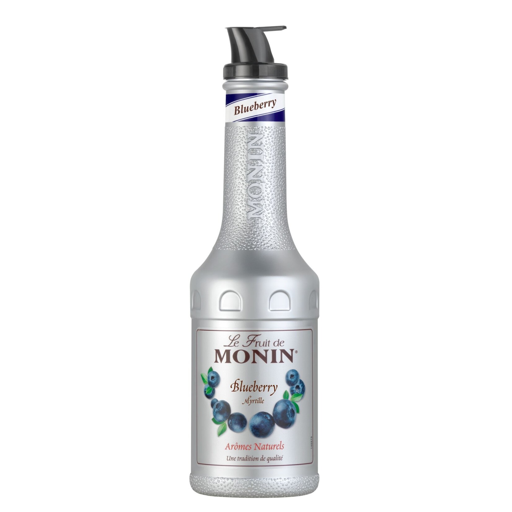 MONIN Bosbes/ Blueberry Le Fruit