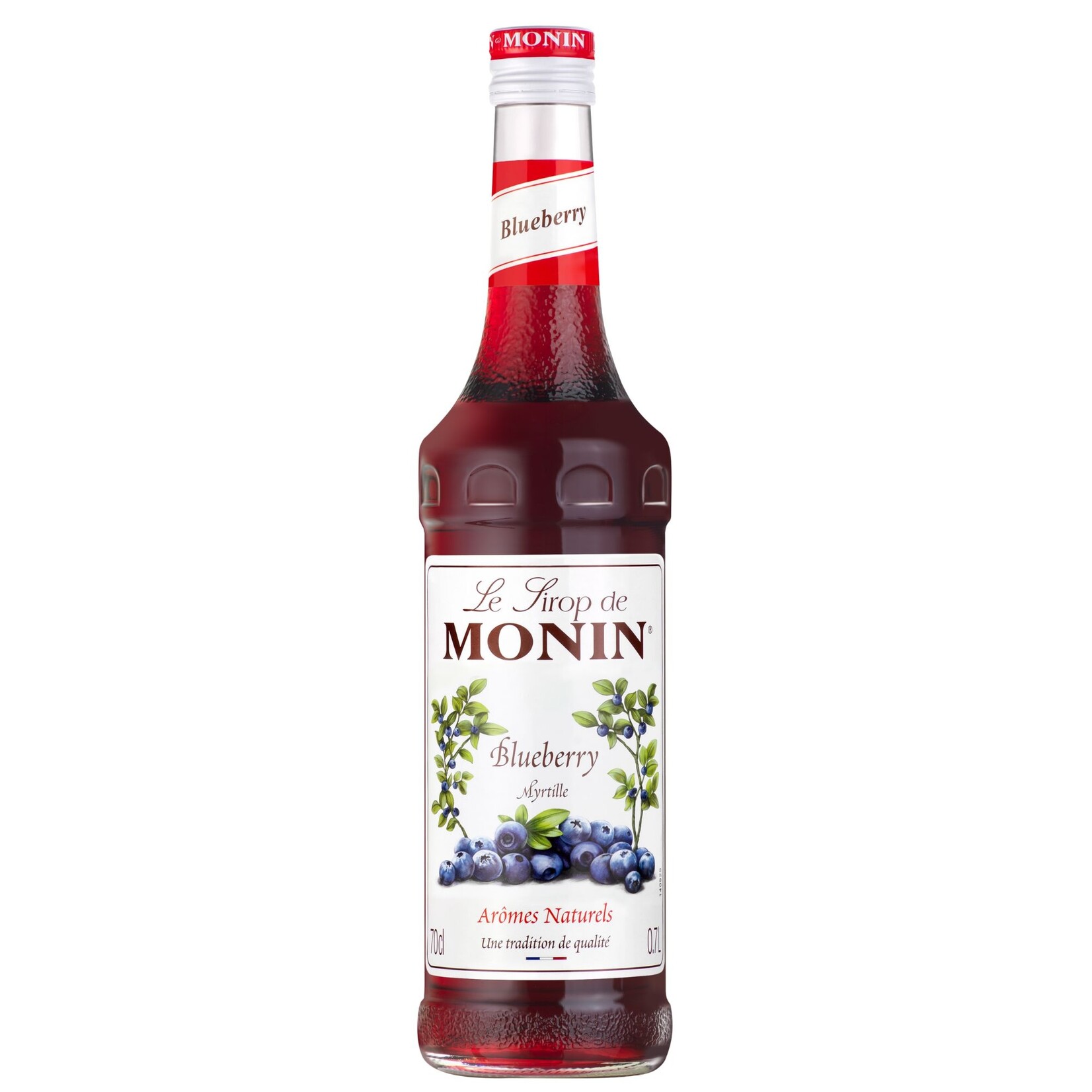MONIN Blueberry syrup