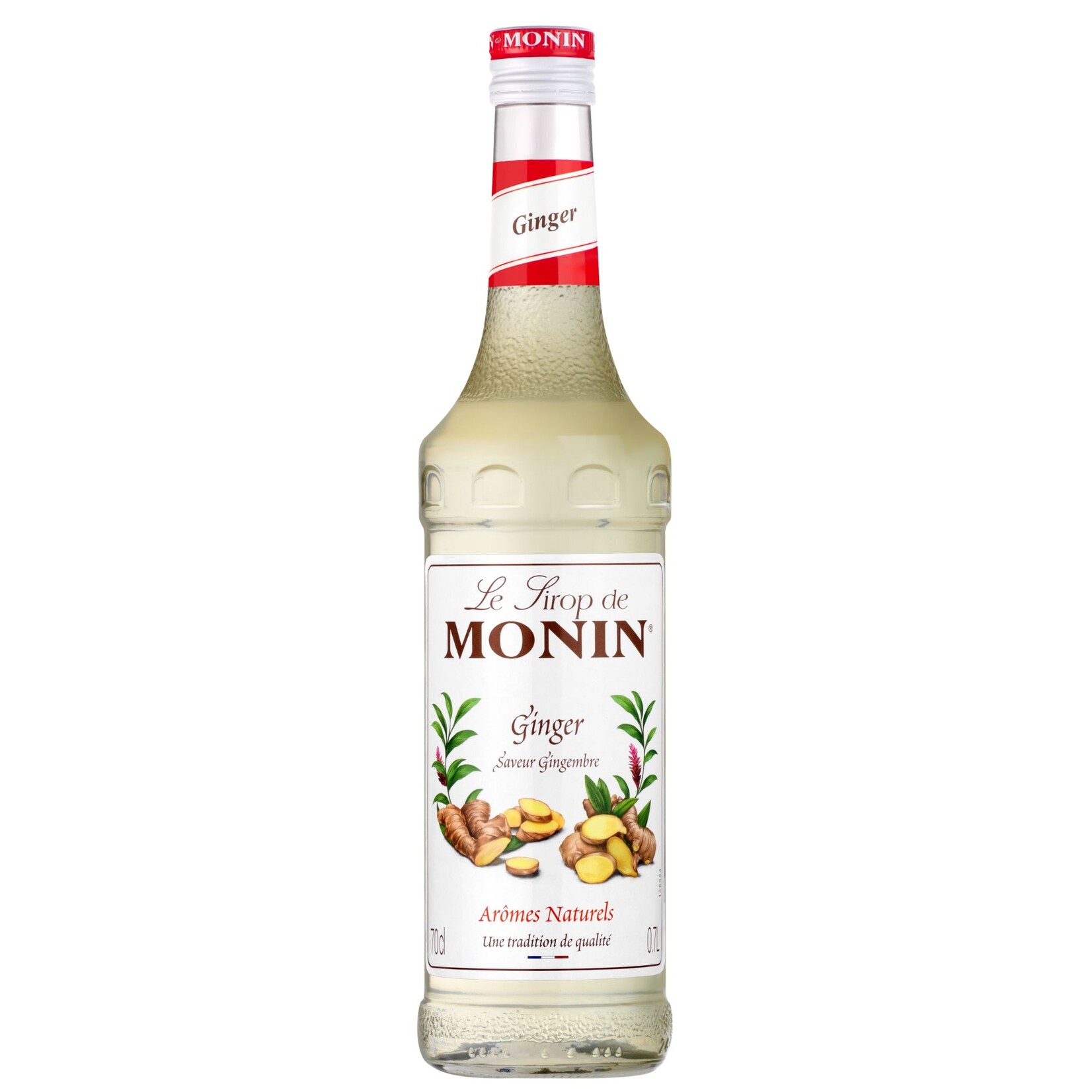 MONIN Ginger syrup