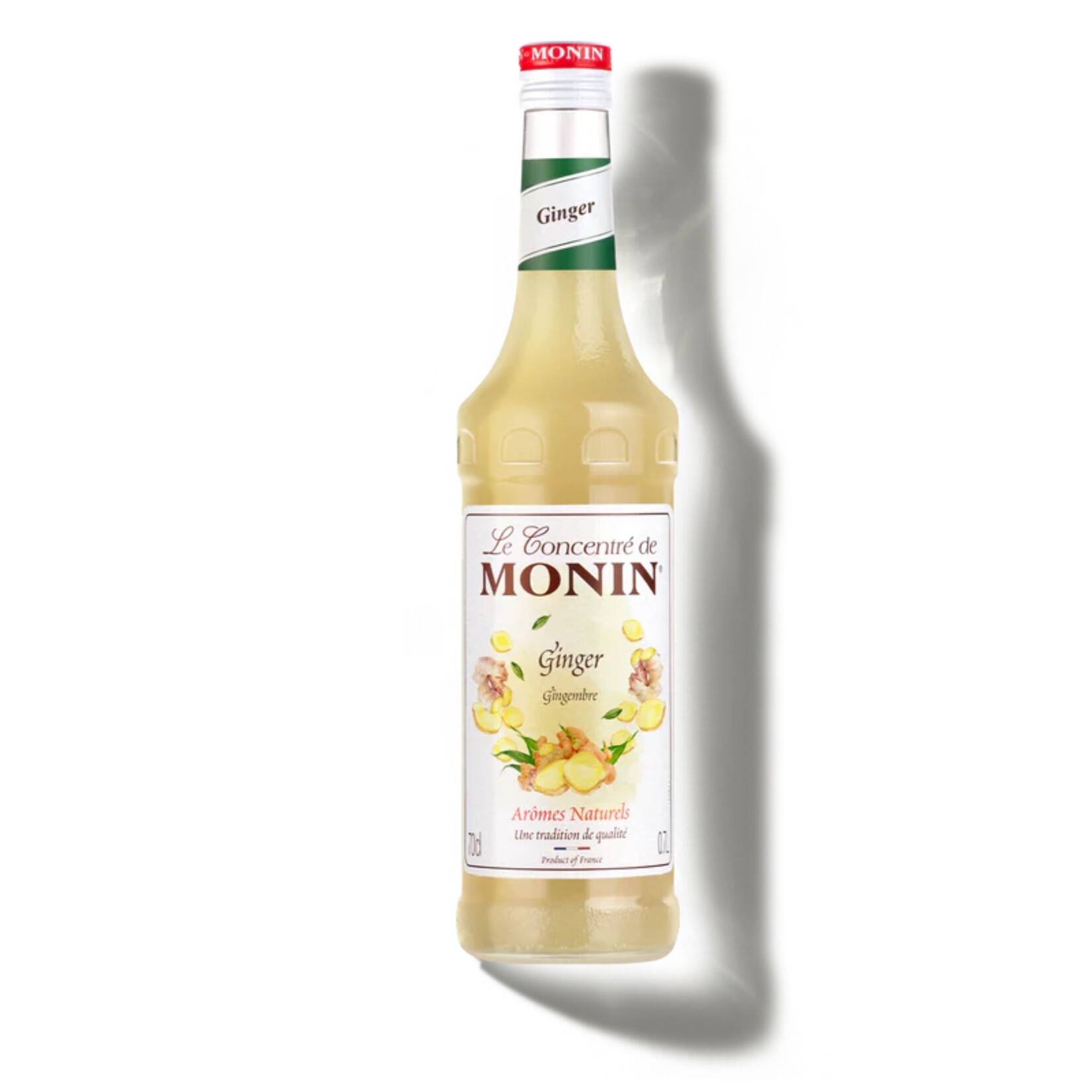 MONIN Ginger Concentraat