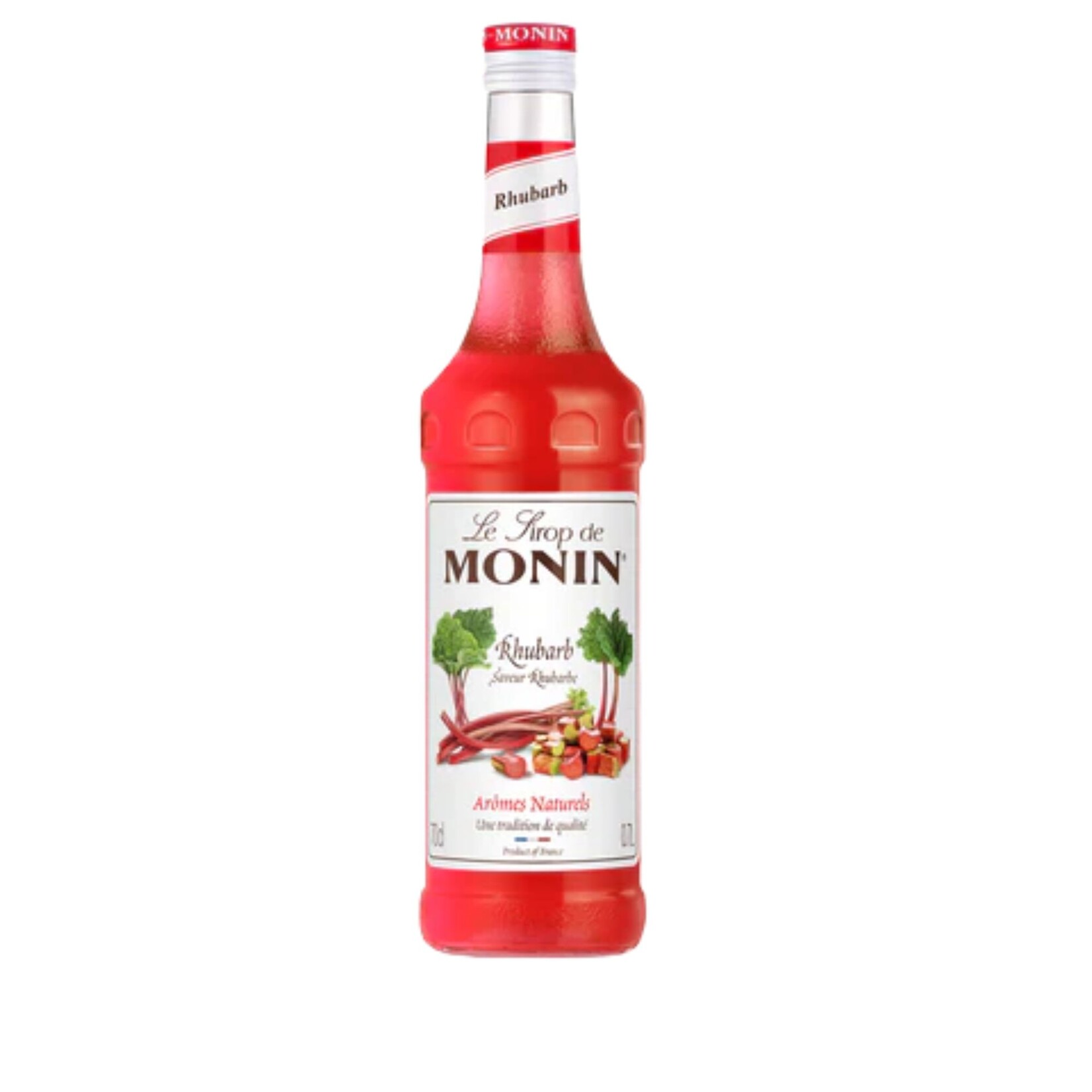 MONIN Rabarber siroop
