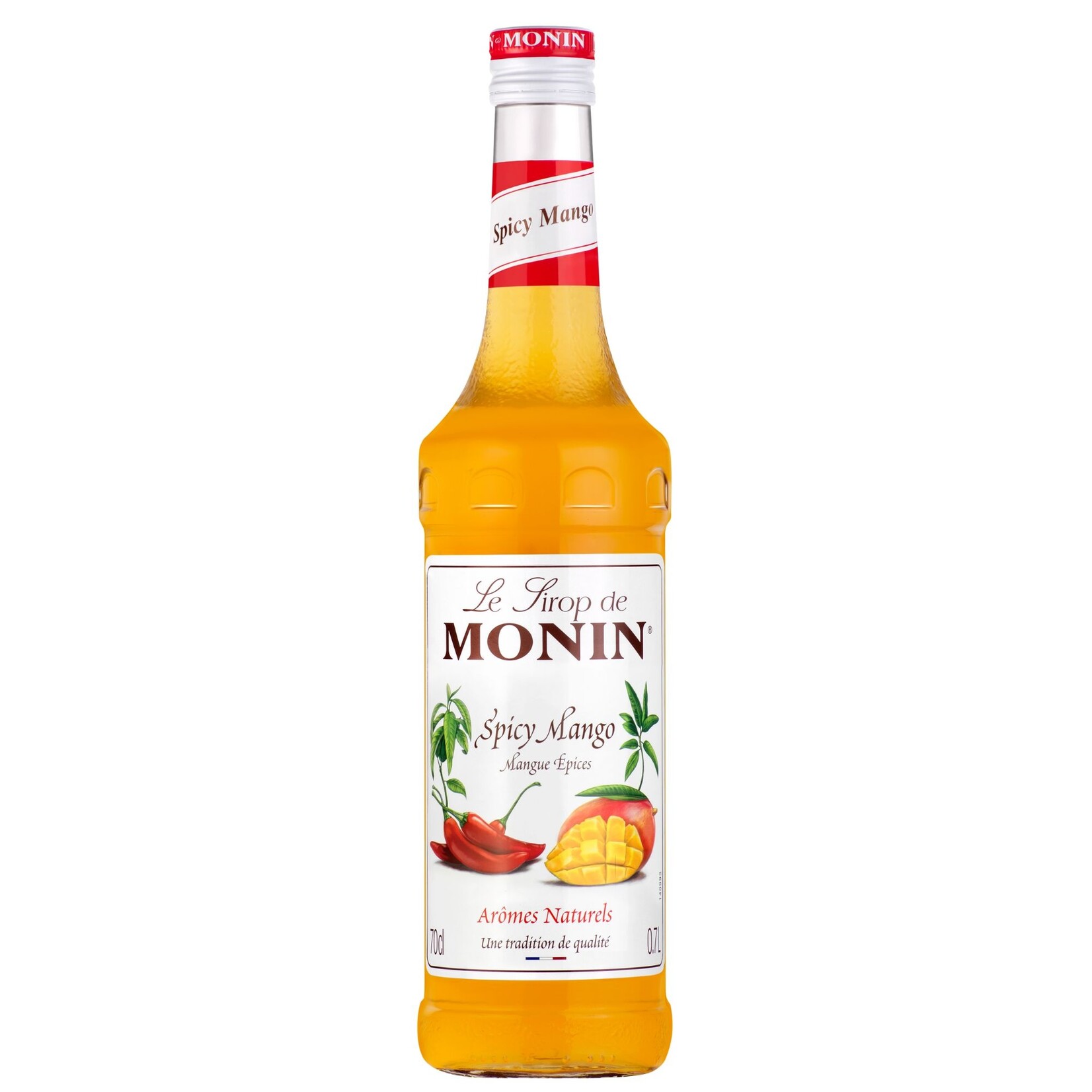 MONIN Spicy Mango Syrup