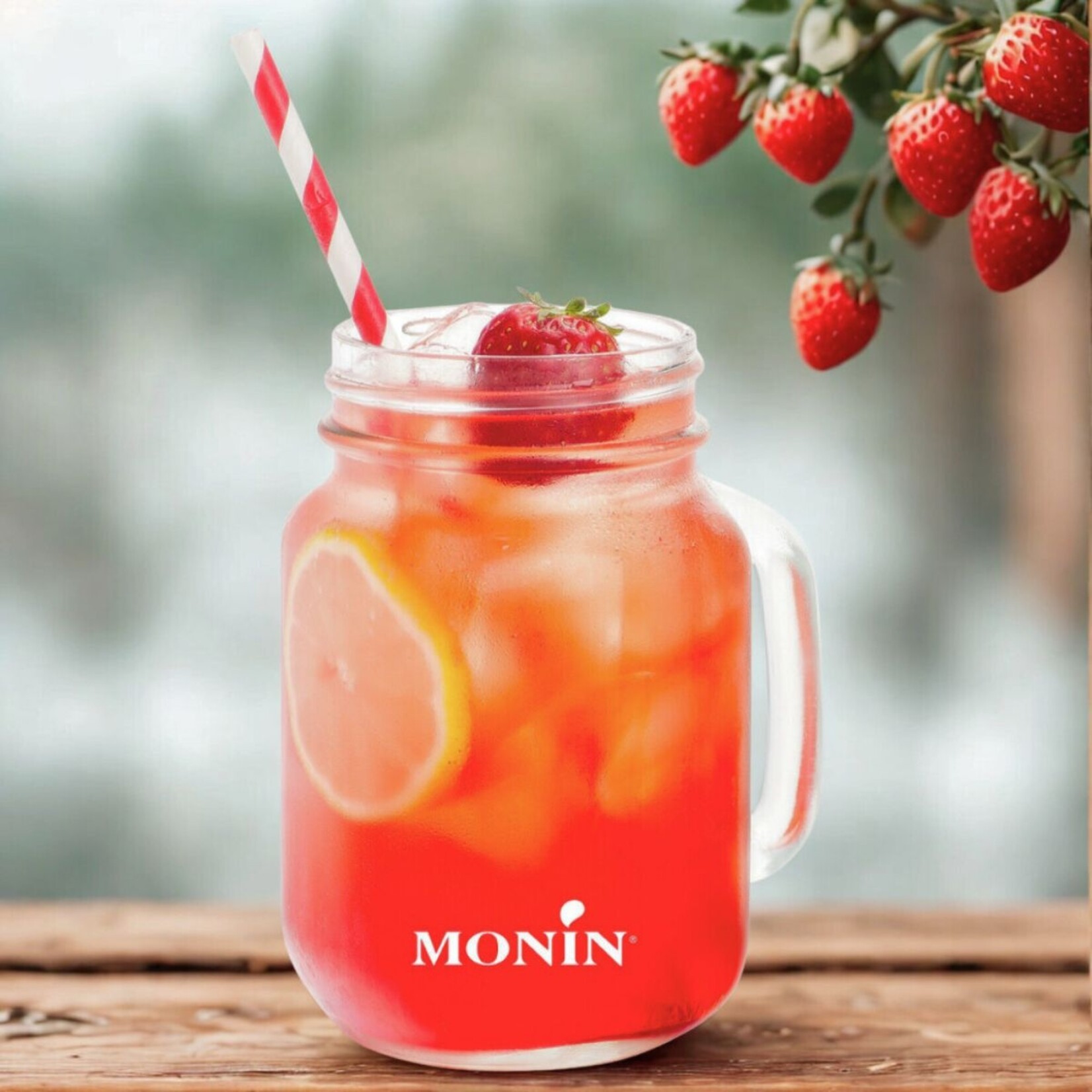 MONIN  Jar met deksel â  Origineel  glas met handvat