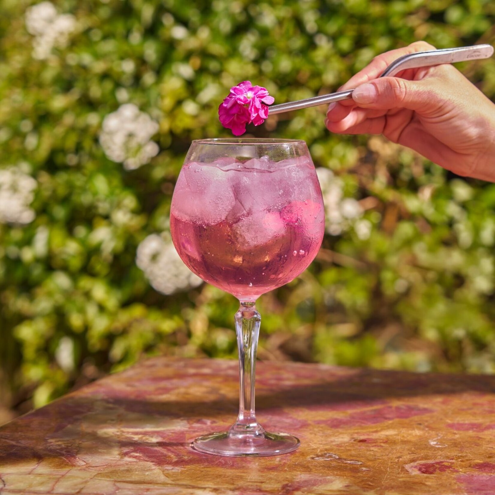 MONIN Monin Cherry Blossom siroop kopen