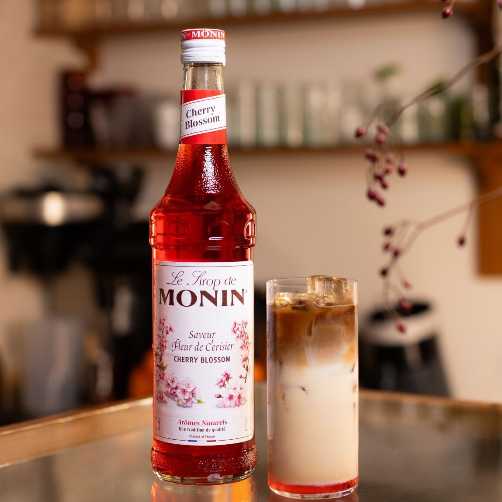 MONIN Cherry Blossom siroop kopen