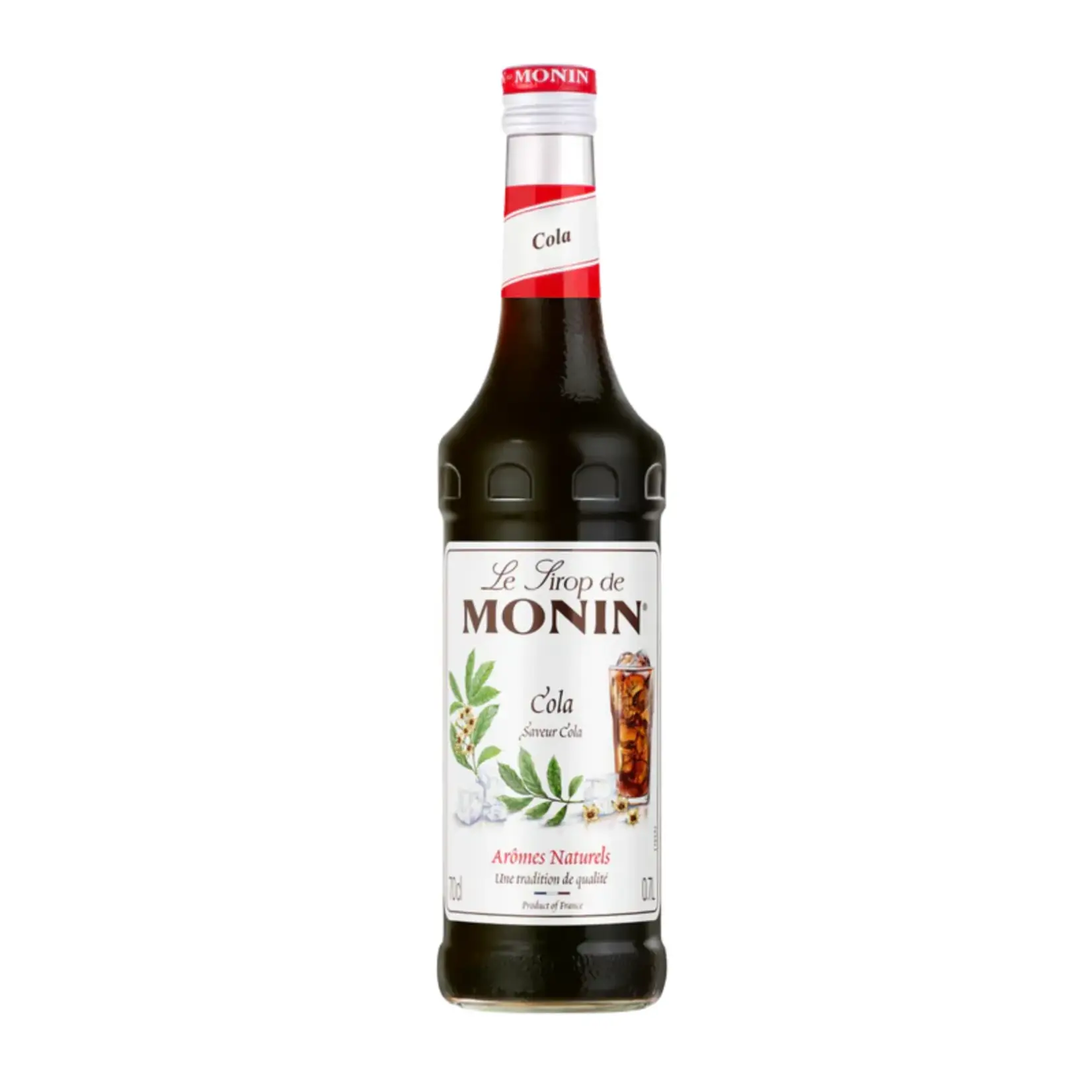 MONIN  Cola Siroop âMaak je eigen specialty cola