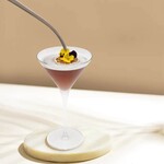 MONIN Monin Violet Siroop 70cl