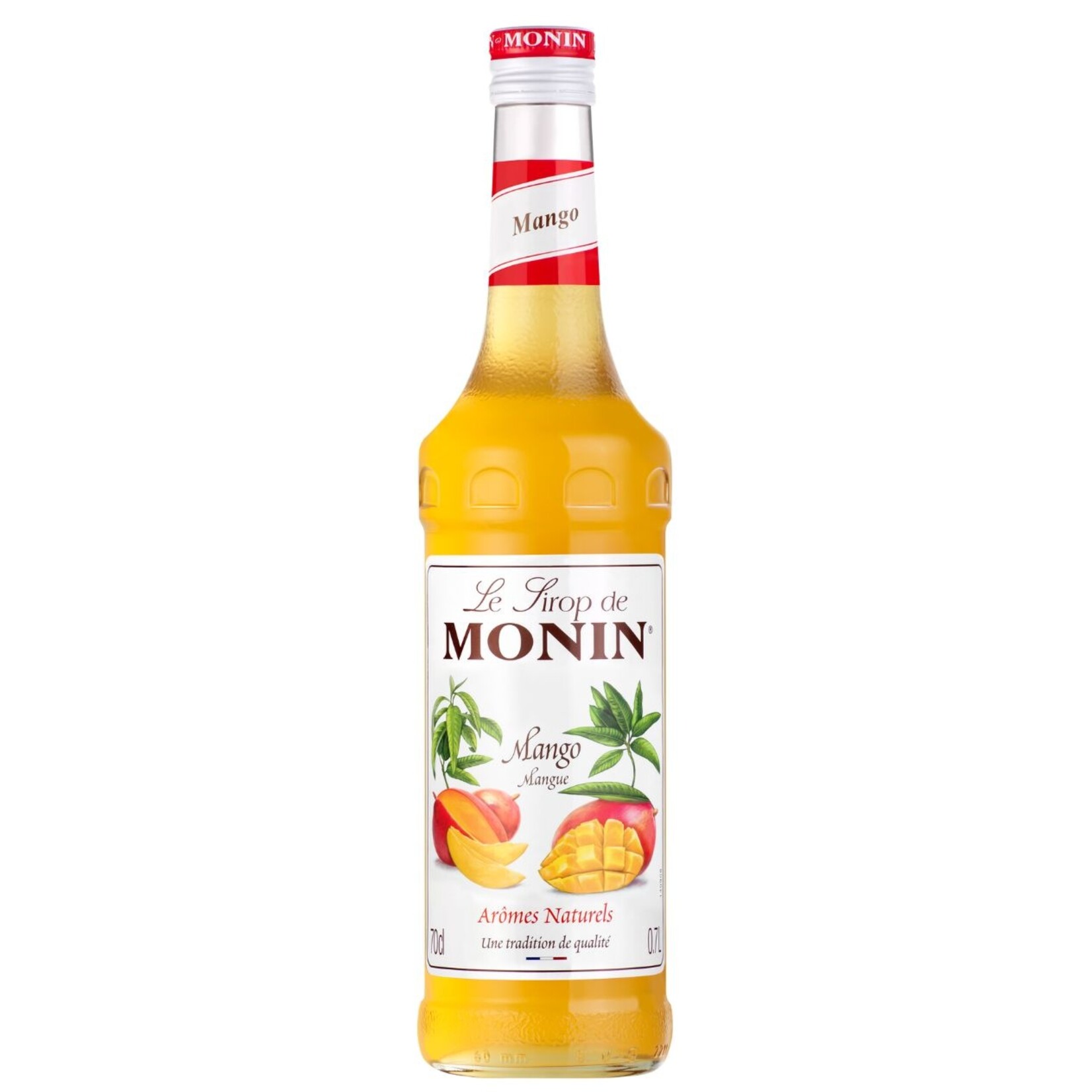 MONIN The Matcha Box