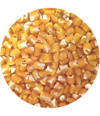 Ayat Food Products Red Plata Mais 1 kilo