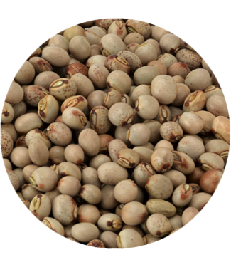 Ayat Food Products Cajumar Feijão Congo Pigeon Peas Grey (MM) _ 1 kg