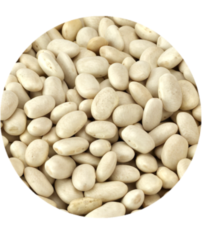 Ayat Food Products Alubia White Beans 1 kg